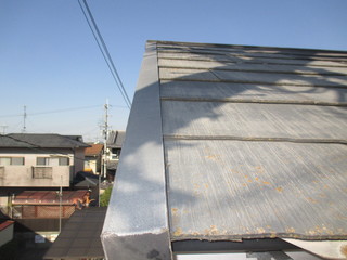 005.JPG