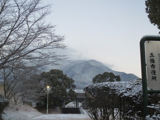 IMG_7488.JPG