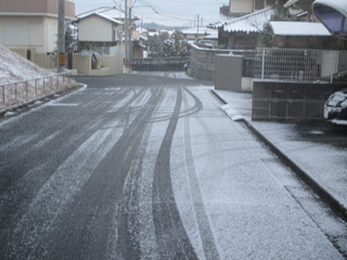 IMG_7489.JPG