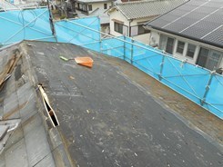 N2.JPG