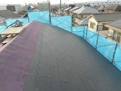 N5.JPG