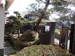 P1100009 - コピー.JPG