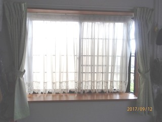 P9120003.JPG
