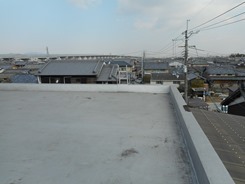 T 11.JPG
