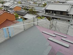 T 3.JPG